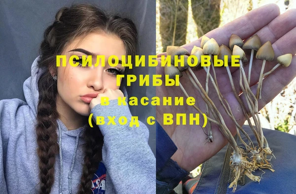 mix Алексин